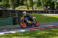 cadwell-no-limits-trackday;cadwell-park;cadwell-park-photographs;cadwell-trackday-photographs;enduro-digital-images;event-digital-images;eventdigitalimages;no-limits-trackdays;peter-wileman-photography;racing-digital-images;trackday-digital-images;trackday-photos
